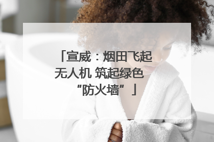 宣威：烟田飞起无人机 筑起绿色“防火墙”