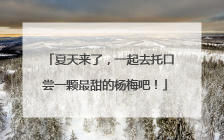 夏天来了，一起去托口尝一颗最甜的杨梅吧！