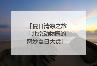 夏日清凉之旅丨北京动物园的奇妙夏日大赏