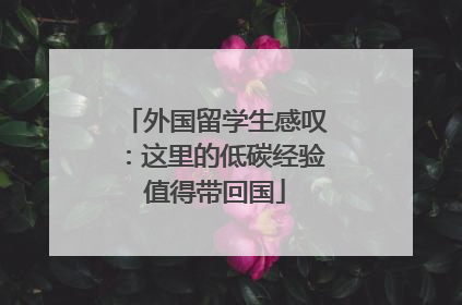 外国留学生感叹：这里的低碳经验值得带回国