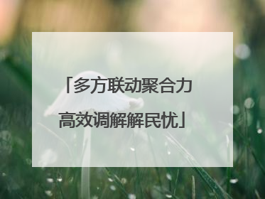 多方联动聚合力 高效调解解民忧