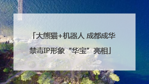 大熊猫+机器人 成都成华禁毒IP形象“华宝”亮相