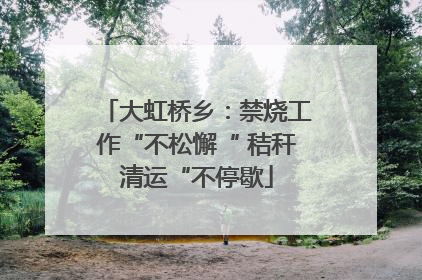 大虹桥乡：禁烧工作“不松懈“ 秸秆清运“不停歇