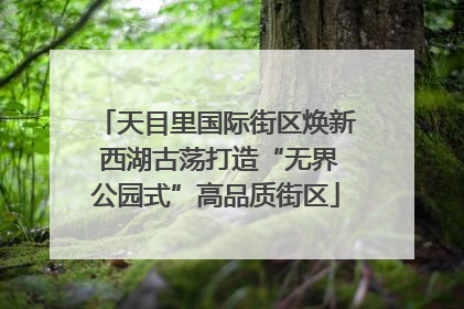 天目里国际街区焕新 西湖古荡打造“无界公园式”高品质街区