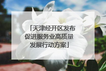 天津经开区发布促进服务业高质量发展行动方案