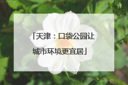 天津：口袋公园让城市环境更宜居