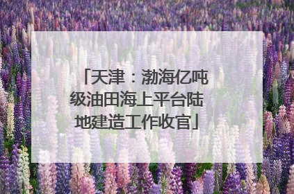 天津：渤海亿吨级油田海上平台陆地建造工作收官