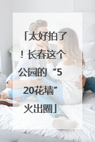 太好拍了！长春这个公园的“520花墙”火出圈