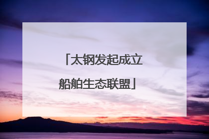 太钢发起成立船舶生态联盟