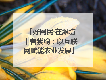 好网民·在潍坊｜曹紫瑜：以互联网赋能农业发展