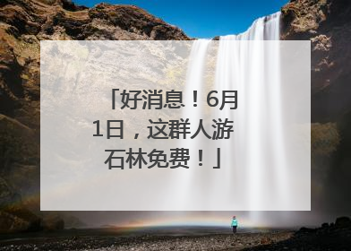 好消息！6月1日，这群人游石林免费！