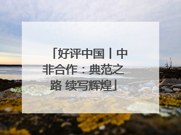 好评中国丨中非合作：典范之路 续写辉煌