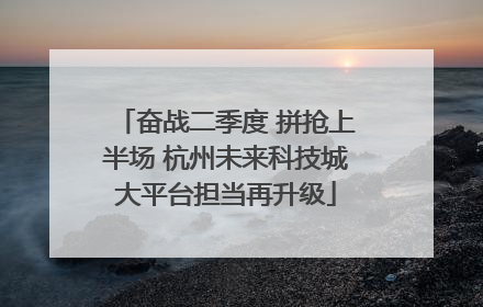 奋战二季度 拼抢上半场 杭州未来科技城大平台担当再升级