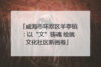 威海市环翠区羊亭镇：以“文”铸魂 绘就文化社区新画卷