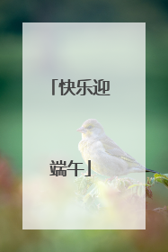 快乐迎端午