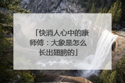 快消人心中的康师傅：大象是怎么长出翅膀的