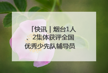 快讯｜烟台1人、2集体获评全国优秀少先队辅导员、集体荣誉称号