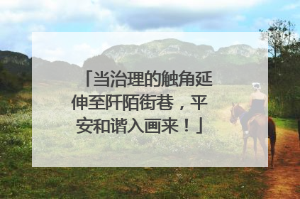 当治理的触角延伸至阡陌街巷，平安和谐入画来！
