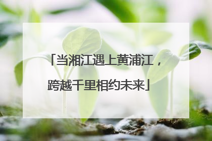 当湘江遇上黄浦江，跨越千里相约未来
