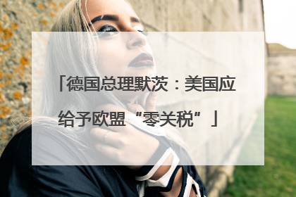 德国总理默茨：美国应给予欧盟“零关税”