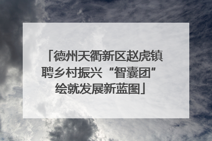 德州天衢新区赵虎镇聘乡村振兴“智囊团” 绘就发展新蓝图