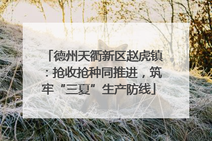 德州天衢新区赵虎镇：抢收抢种同推进，筑牢“三夏”生产防线