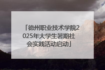 德州职业技术学院2025年大学生暑期社会实践活动启动
