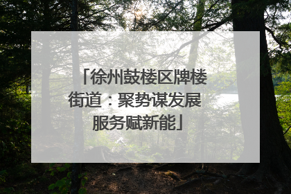 徐州鼓楼区牌楼街道：聚势谋发展 服务赋新能
