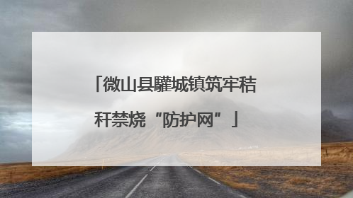 微山县驩城镇筑牢秸秆禁烧“防护网”