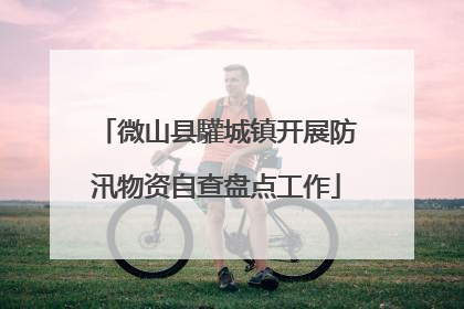 微山县驩城镇开展防汛物资自查盘点工作