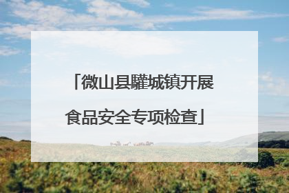 微山县驩城镇开展食品安全专项检查
