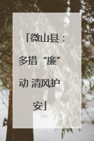 微山县：多措“廉”动 清风护安