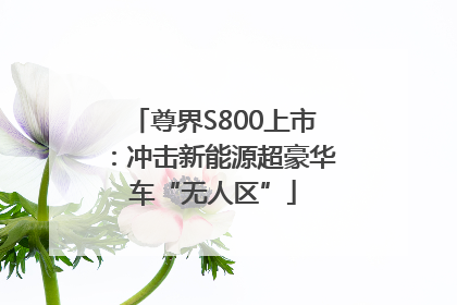 尊界S800上市：冲击新能源超豪华车“无人区”