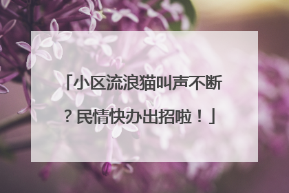 小区流浪猫叫声不断？民情快办出招啦！