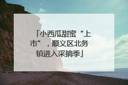 小西瓜甜蜜“上市”，顺义区北务镇进入采摘季