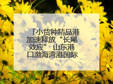 小货种精品港加速释放“长尾效应” 山东港口渤海湾港国际件杂货运业务