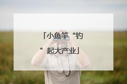 小鱼竿“钓”起大产业
