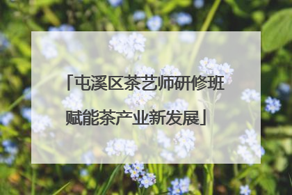屯溪区茶艺师研修班赋能茶产业新发展