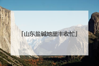 山东盐碱地里丰收忙