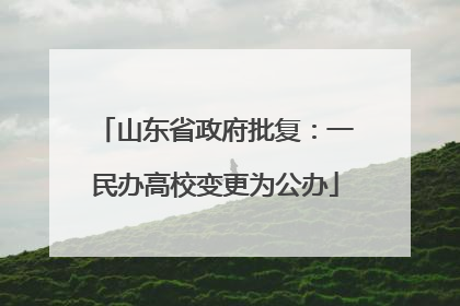 山东省政府批复：一民办高校变更为公办