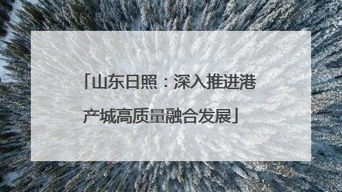 山东日照：深入推进港产城高质量融合发展