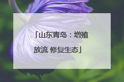 山东青岛：增殖放流 修复生态