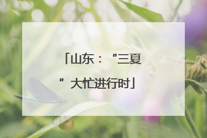 山东：“三夏”大忙进行时