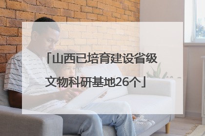 山西已培育建设省级文物科研基地26个