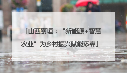 山西襄垣：“新能源+智慧农业”为乡村振兴赋能添翼