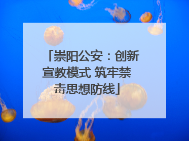 崇阳公安：创新宣教模式 筑牢禁毒思想防线