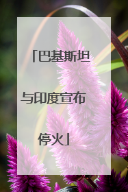 巴基斯坦与印度宣布停火