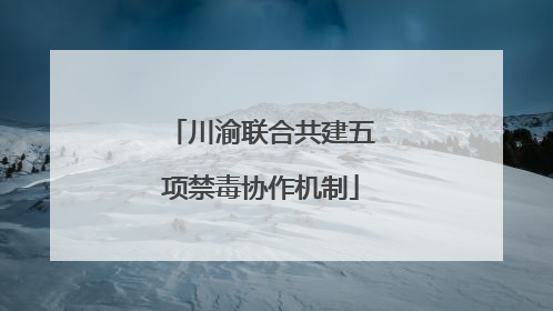 川渝联合共建五项禁毒协作机制
