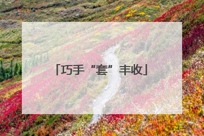 巧手“套”丰收