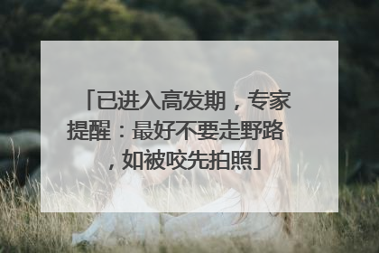 已进入高发期，专家提醒：最好不要走野路，如被咬先拍照